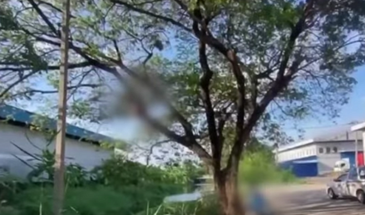 Người đàn ông 37 tuổi tự kết liễu bản thân sau cuộc tranh cãi với mẹ vì mùi trứng chiên