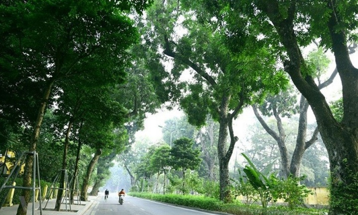 Tin tức dự báo thời tiết hôm nay (30/4): Miền Bắc mưa rào rải rác