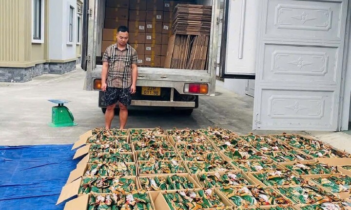 Phát hiện 5,3 tấn chân gà không rõ nguồn gốc tại Tuyên Quang