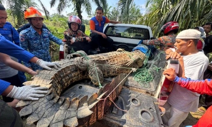 Người dân vây bắt 