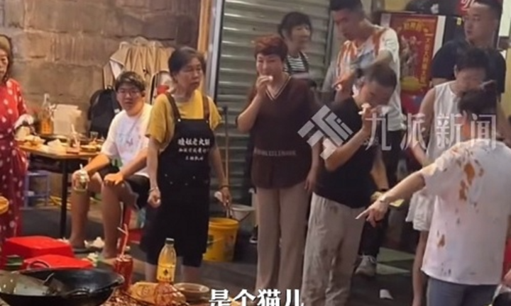 Clip: Mèo hoang bất ngờ rơi thẳng vào nồi lẩu đang sôi, 9 người bị bỏng nhập viện 
