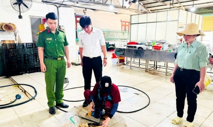 Phát hiện hàn the trong chả chiên tại bếp ăn công nghiệp ở Đồng Nai