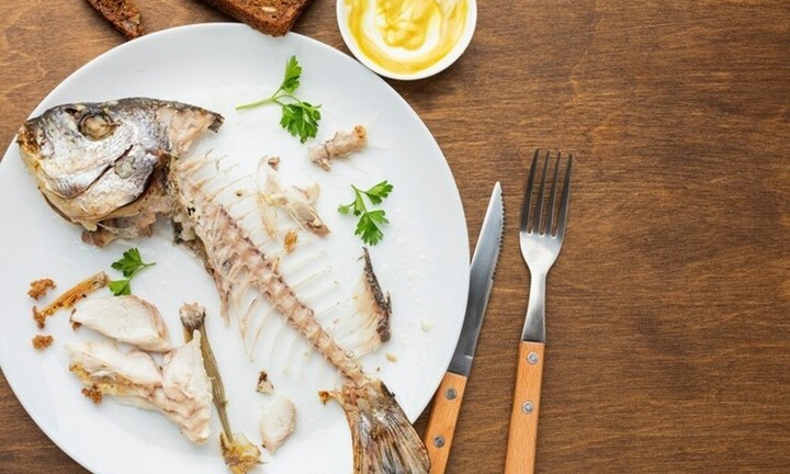 Bộ phận của con cá được ví như tổ yến, nhân sâm