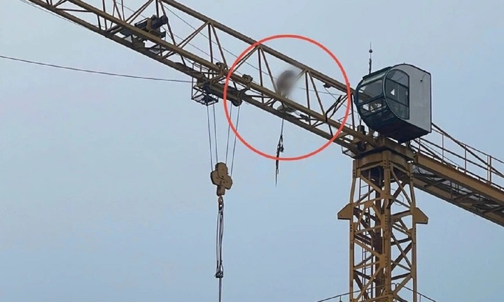 Vụ người đàn ông không mặc quần áo 