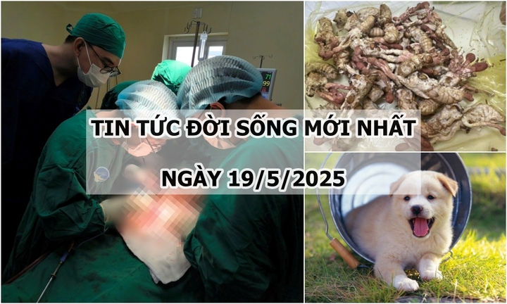 Tin tức đời sống 19/5: Chủ quan với nốt sùi nhỏ, người đàn ông phải cắt “của quý” vì ung thư