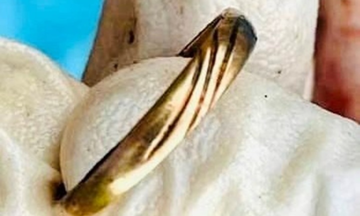 Phát hiện thi thể nam giới ở Bình Dương: Ngón tay đeo nhẫn màu vàng, khắc chữ “K.Hoa H.610”