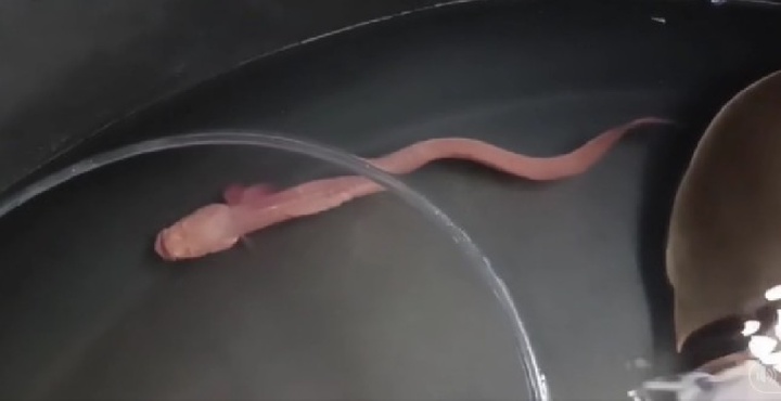 Clip: Đi câu, ngư dân 