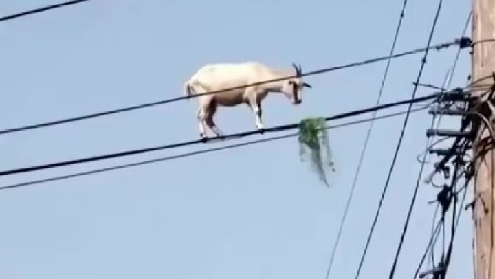 Clip: Dê