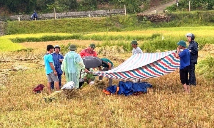 Đang gặt lúa ngoài đồng, người đàn ông lấy điện thoại ra xem bị sét đánh tử vong