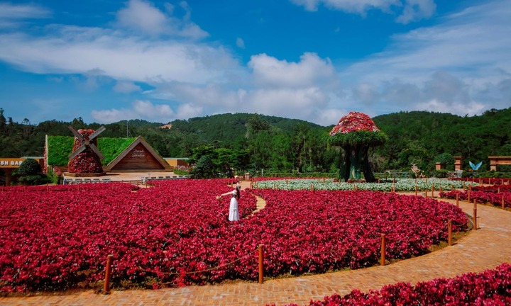 Điểm check-in mới ở Đà Lạt