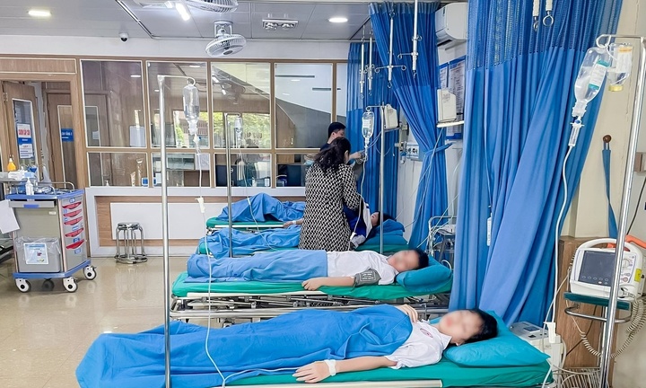 4 học sinh nhập viện khẩn cấp vì ong đốt sau trò nghịch dại của bạn học
