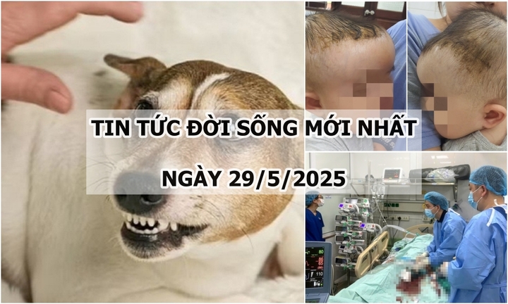 Tin tức đời sống 29/5: Giành giật sự sống cho người đàn ông rối loạn nhịp tim, ngừng tuần hoàn