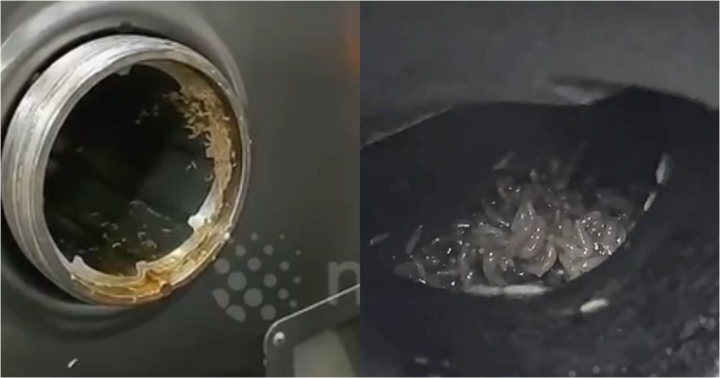 Clip: Đến căng tin trường học của con, phụ huynh sốc nặng khi thấy cảnh tượng nổi da gà