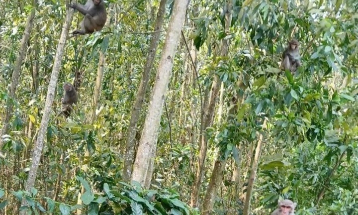 Khảo sát