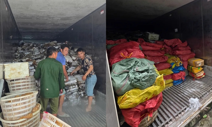 Phát hiện, thu giữ hơn 25 tấn mực ống, sách bò, chân gà bốc mùi, không rõ nguồn gốc tại Quảng Ninh