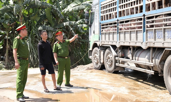 Bắt giữ xe chở 18 tấn lợn mắc dịch tả châu Phi, nhiều con bốc mùi: Bất ngờ lời khai tài xế