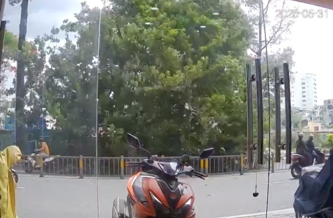 Clip: Cây bồ đề cao hơn 10 mét bật gốc, đè trúng người đi xe máy ở TP.HCM