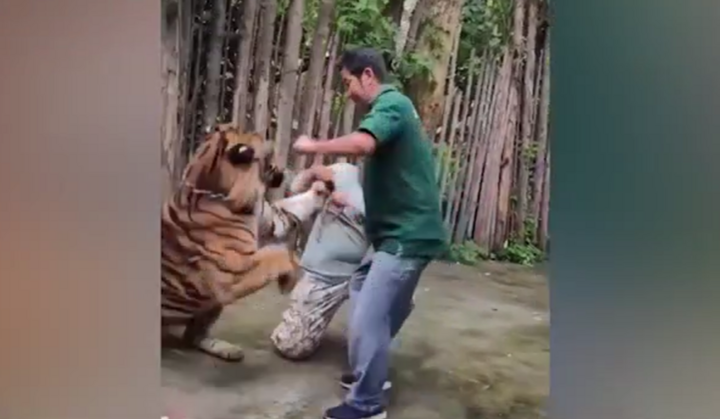 Clip: Nam du khách