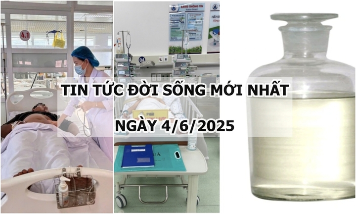 Tin tức đời sống 4/6: Ăn nấm rừng, 7 người nhập viện, có ca tổn thương gan, thận
