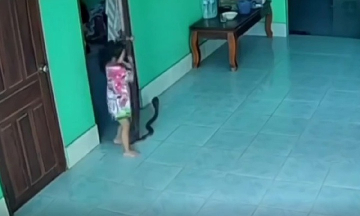 Clip: Mở cửa phòng, bé gái 