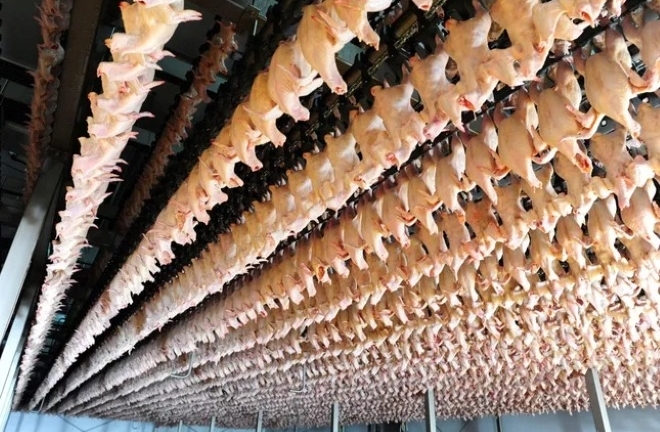 Tiếp tục kiểm tra nhà máy chế biến gia cầm của Công ty C.P. Việt Nam tại Hà Nội