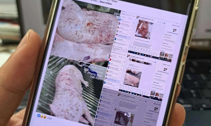 Vụ Công ty C.P. Việt Nam bị