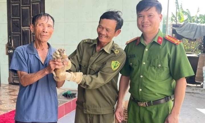 Con vật