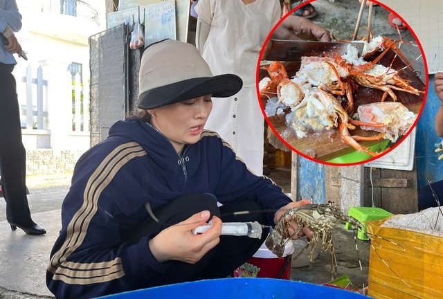Phát hiện cơ sở ở Phú Yên thu mua tôm hùm chết, bơm tạp chất