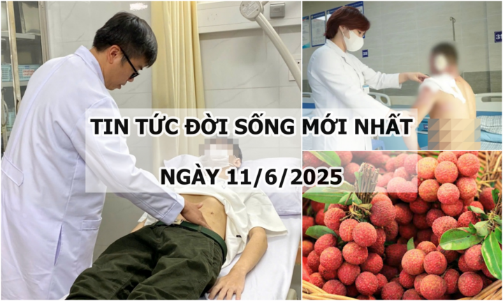 Tin tức đời sống 11/6: Người đàn ông bị gãy 5 xương sườn vì ngã khi hái vải