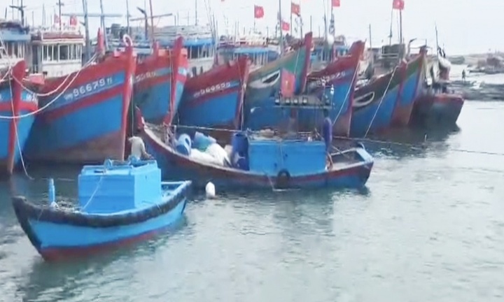 Tin tức thời sự hôm nay (13/6): Hơn 100 khách du lịch kẹt trên đảo Lý Sơn