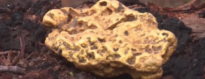 Đang gom rác, người đàn ông bất ngờ tìm thấy cục vàng 4,3kg