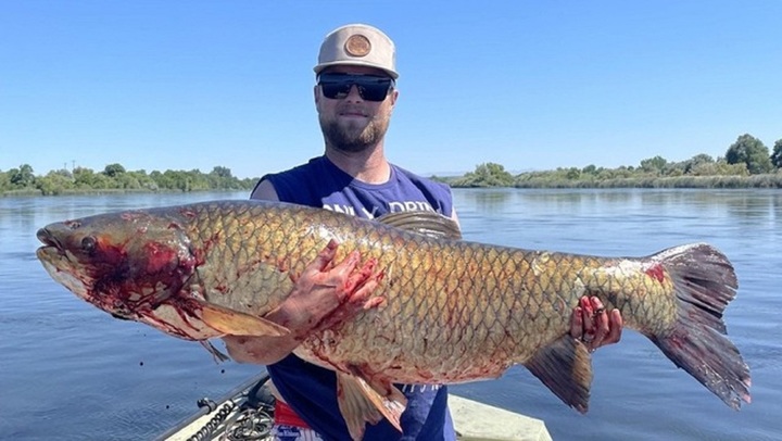 Clip: Cần thủ dùng 