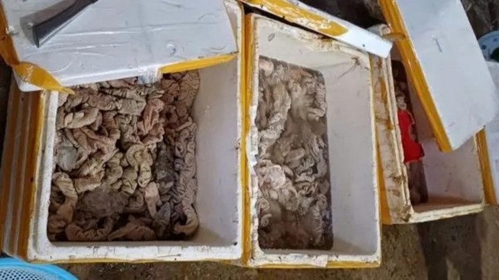 Xử phạt cơ sở kinh doanh gần 3,5 tấn nội tạng động vật không rõ nguồn gốc