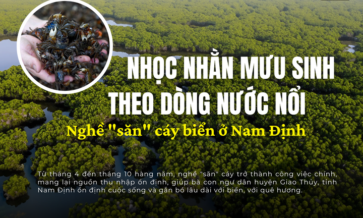 Nhọc nhằn mưu sinh theo dòng nước nổi: Nghề 