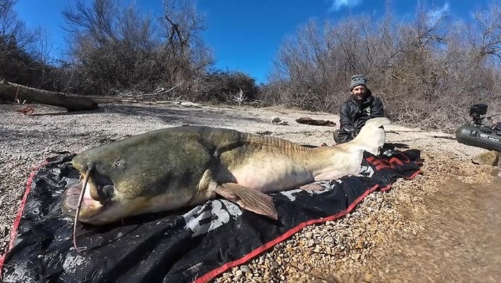 Clip: Câu cá trên sông, cần thủ bất ngờ bắt được cá trê khổng lồ nặng 122kg, dài gần 3 mét