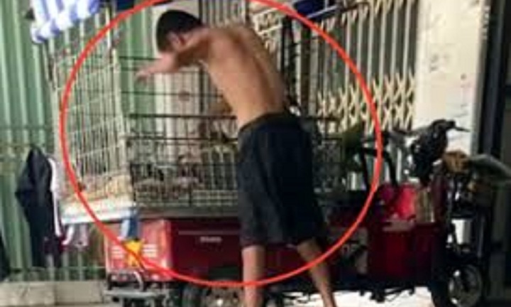 Tin pháp luật nổi bật 24h qua: Bố dùng dây điện và ống nhựa đánh con trai 11 tuổi