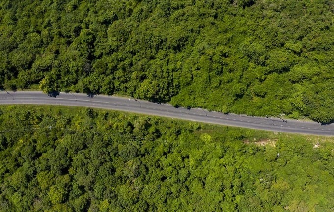 Có gì trên cung đường xuyên rừng siêu đẹp Bình Châu – Tân Thành