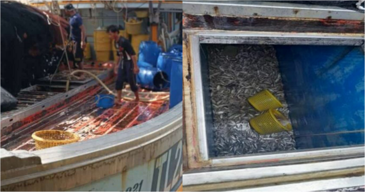 Ngư dân bất tỉnh trong khoang chứa cá, 2 người khác xuống cứu, tất cả đều tử vong thương tâm ở Thái Lan