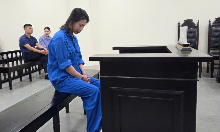 Xét xử Lê Thị Hồng Dung - nữ giám đốc điều hành 9 công ty