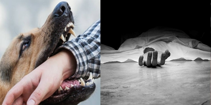 Thương tâm: Cứu chó hoang gặp nạn, nam cầu thủ bất ngờ bị cắn, tử vong ở Ấn Độ