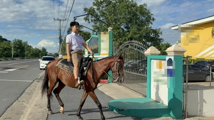 Ngỡ ngàng: Nam sinh cưỡi ngựa đi học để 