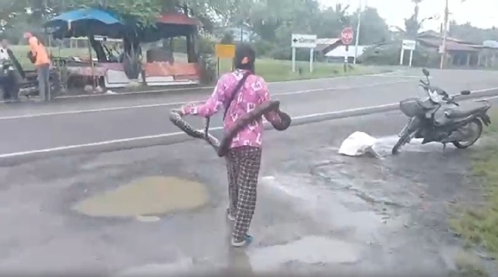 Clip: Người phụ nữ tay không bắt trăn 2 mét và câu nói khiến ai cũng ngỡ ngàng