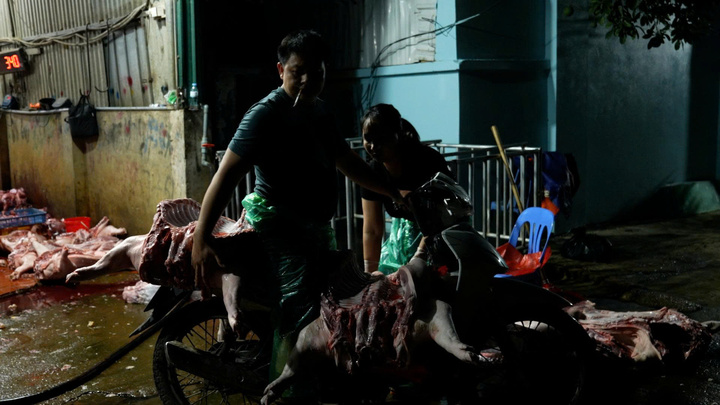 Lộ diện đường dây chuyên đưa thịt lợn bệnh, lợn chết vào các chợ ở Hà Nội