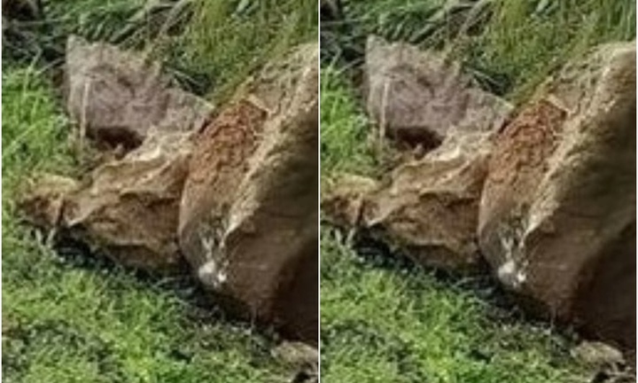 Thương tâm: Theo người lớn đi chăn bò, bé gái 2 tuổi bị đá trên đồi đè tử vong