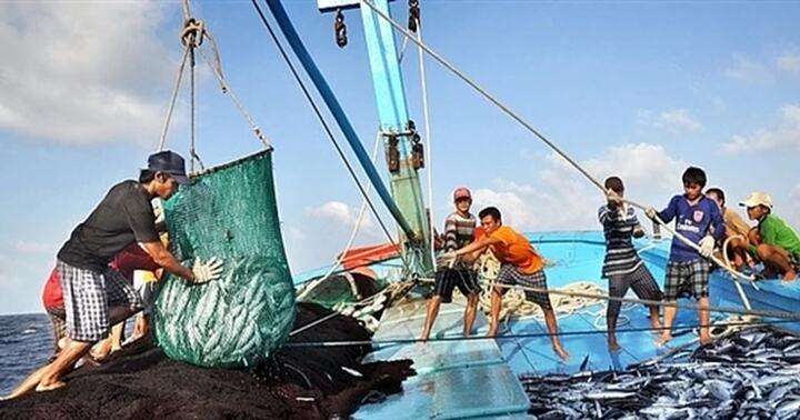 Vi phạm về sử dụng ngư cụ bị cấm trong khai thác thuỷ sản bị xử lý như thế nào?