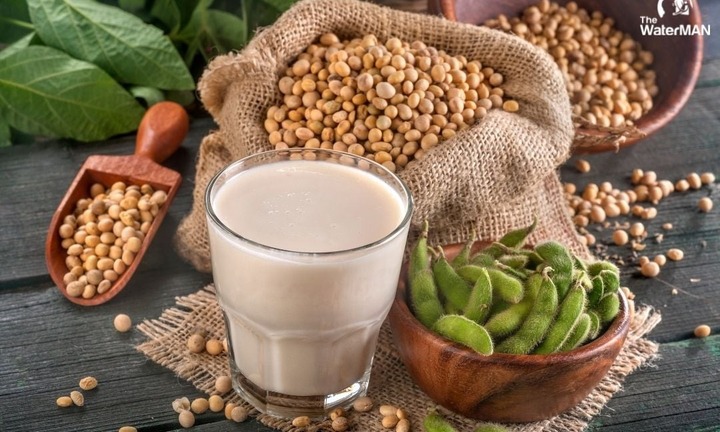 Lý do tuổi trung niên nên chọn đạm đậu nành