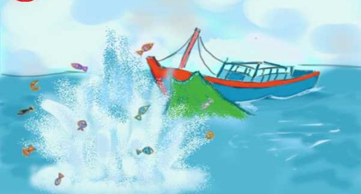 Hành vi vi phạm nào trong khai thác thuỷ, hải sản bị truy tố hình sự?