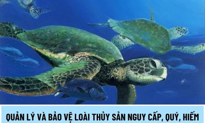 Chế độ quản lý loài thuỷ sản nguy cấp, quý, hiếm được quy định như thế nào?