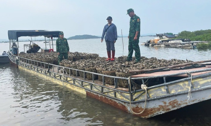 Bắt giữ đối tượng dùng bè mảng chở lậu 4 tấn hàu từ Trung Quốc về Việt Nam tiêu thụ