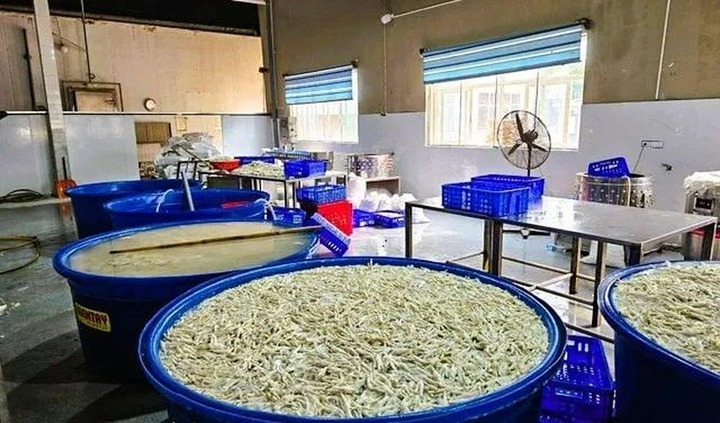 Rùng mình cảnh bên trong kho đông lạnh chứa hơn 13 tấn chân gà ngâm hóa chất tẩy trắng ở Thanh Hóa